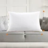 Cheer Collection Luxurious Gel Fiber Filled Bed Pillows Set Of 2